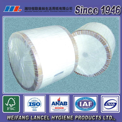 Pulp Raw Material Mother Roll Jumbo Roll Toilet Tissue Napkin Tissue Paper