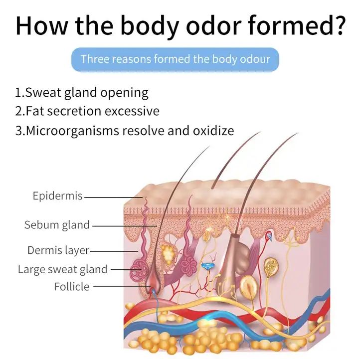 Private Label Custom Men's Personal Care Roll on Antiperspirant Deodorant