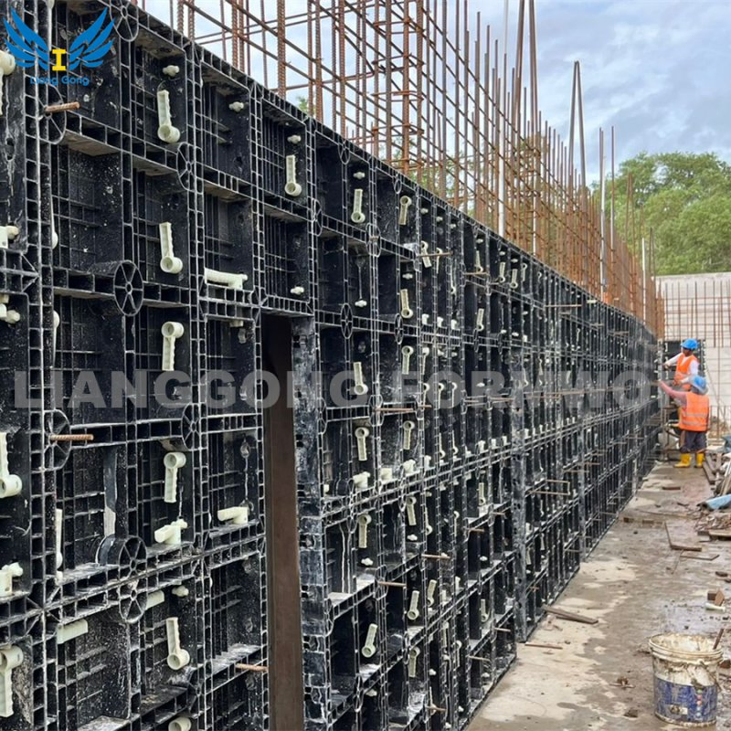 Factory Customized Quality-Assured Cost-Effective Reusable Plastic Wall Column Formwork for Construction