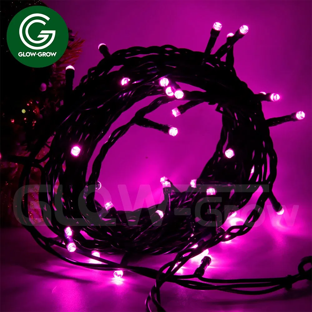 Factory PVC Curtain LED Christmas String Light for Home Party Outdoor Decoration