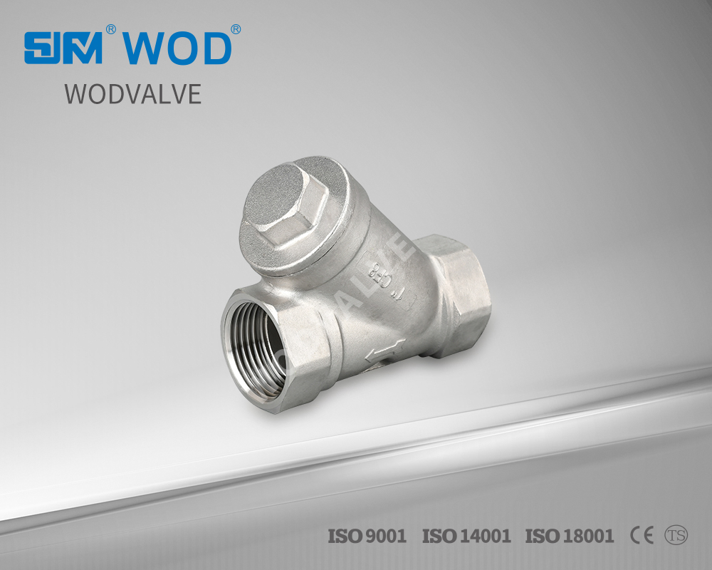 Stainless Steel Y Type Filter