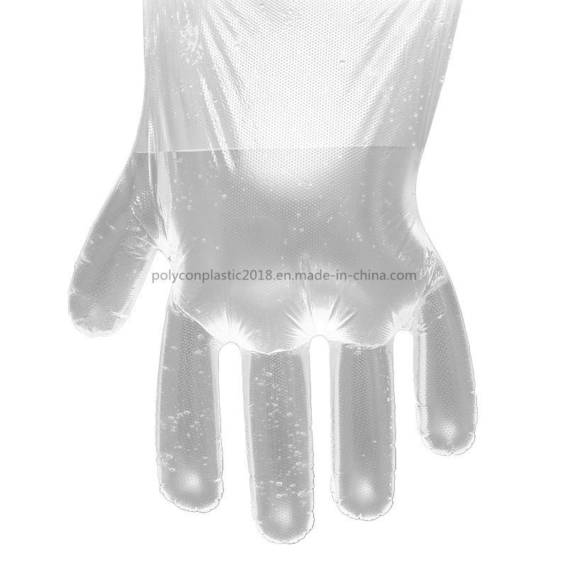 Food Service Disposable Kitchen Gloves Cooking Kitchen Gloves
