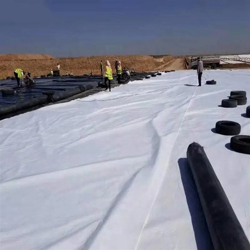Non Woven Geo Textile Geotextile for Roads/Harbors/Reservoirs/Canals and Dams Project