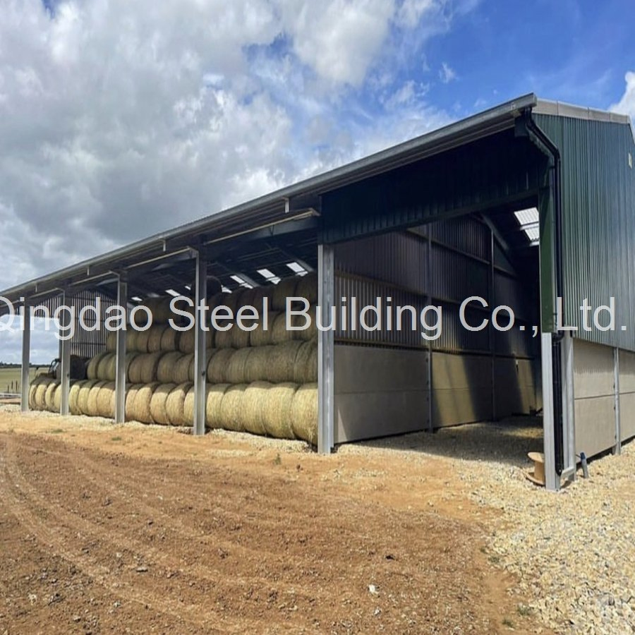 Factory Supply China Prefabricated Steel Structure Warehouse/Prefab Steel Farm Storage Shed Building