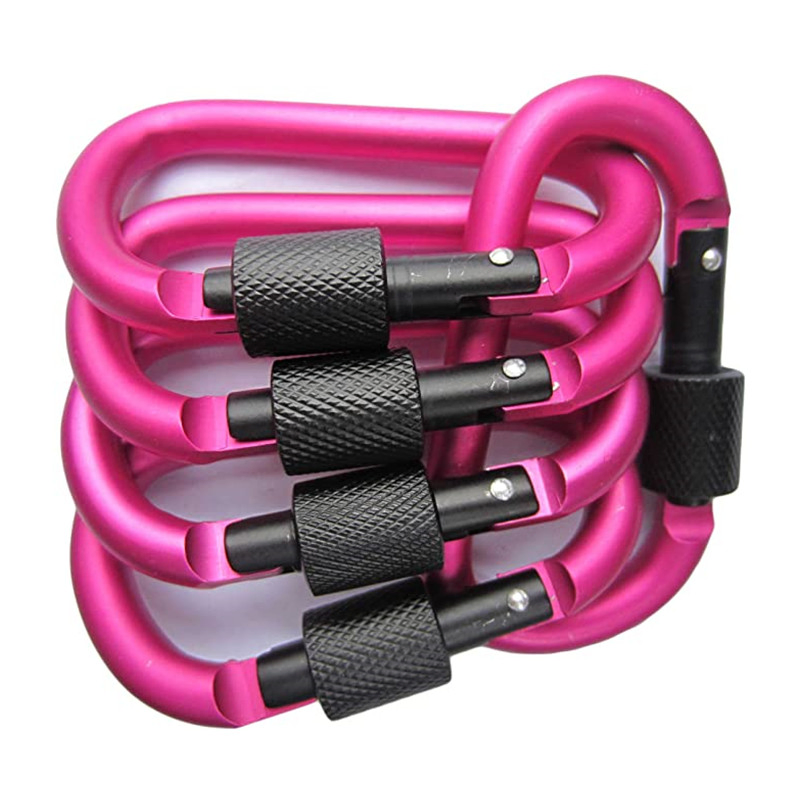 Custom Low MOQ Large Carabiner Oxidation Aluminum Carabiner Laser Engraved Logo D Shape Metal Carabiners