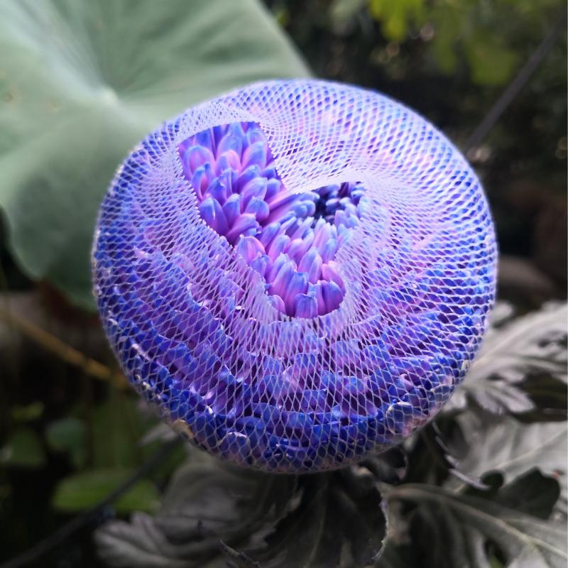 Защитные сетчатые подложки для цветов Premium Flower Export