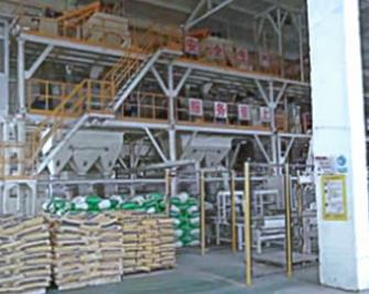 Cement Low Price for Wall Building Vietnam Manufacturer White Cement Portland