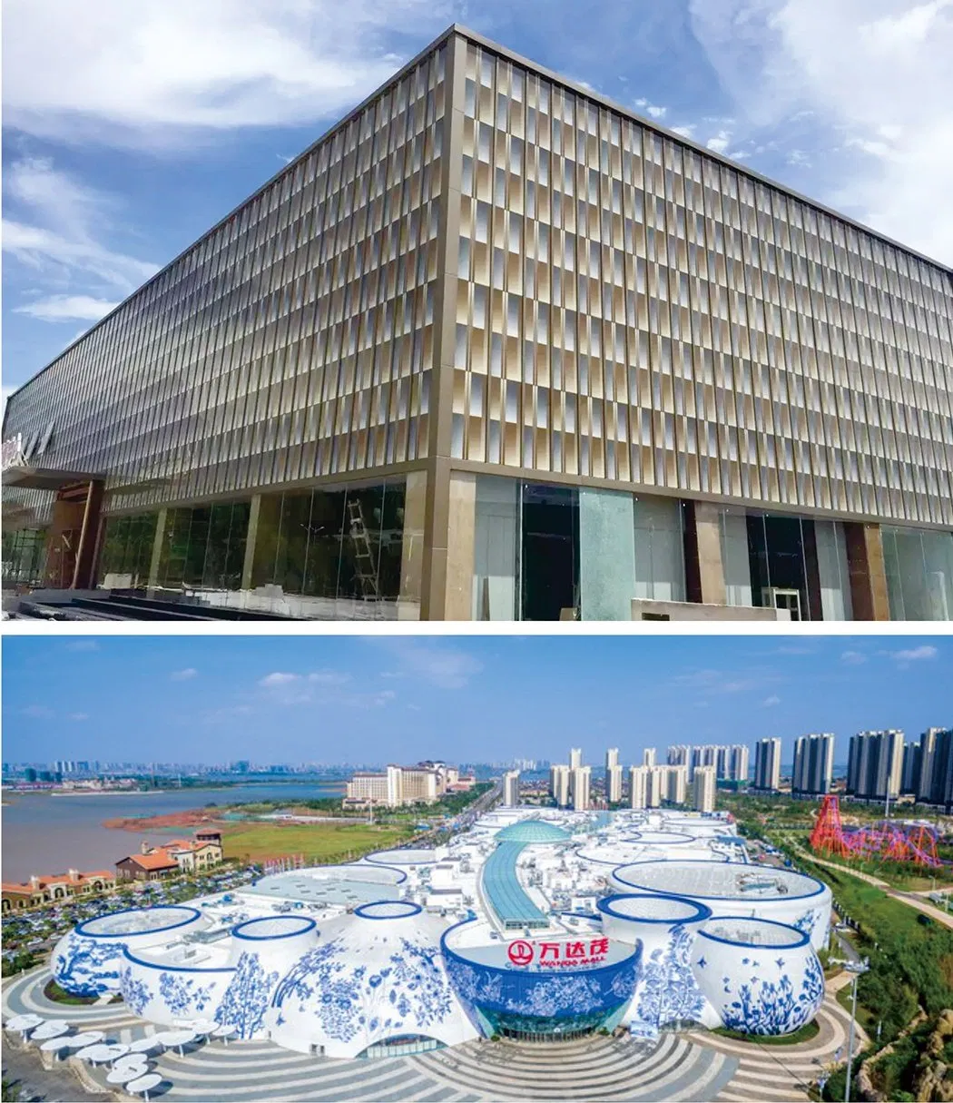 10mm Digital Printed Glass Decorative Glass for Decoration/Building
