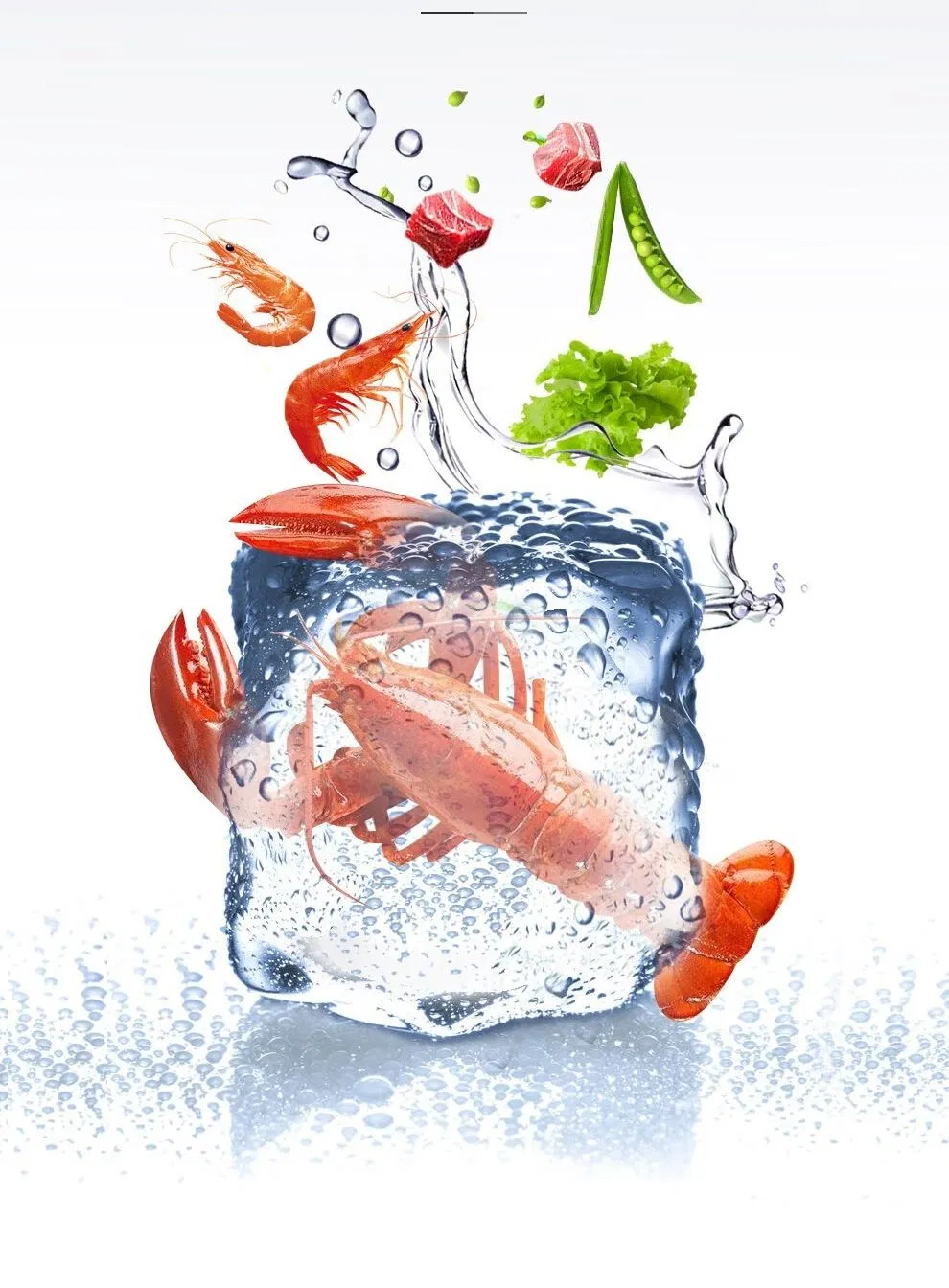 1000L Horizontal Single Temperature Chest Freezer for Fast Food Restaurants