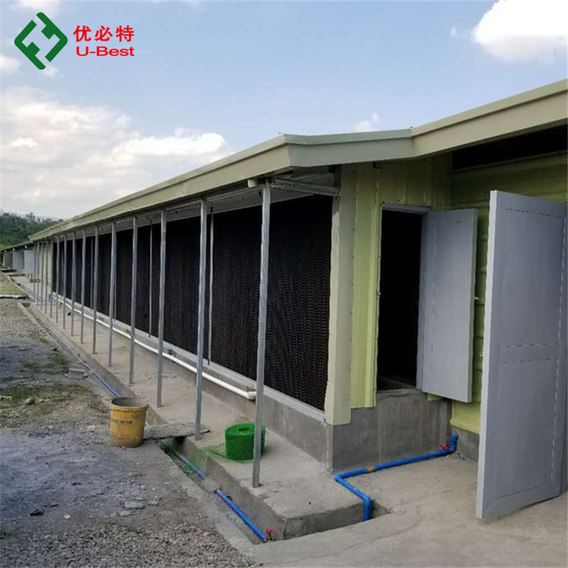Automatic Feeding System Poultry Feed Line System Poultry Farm Equipment