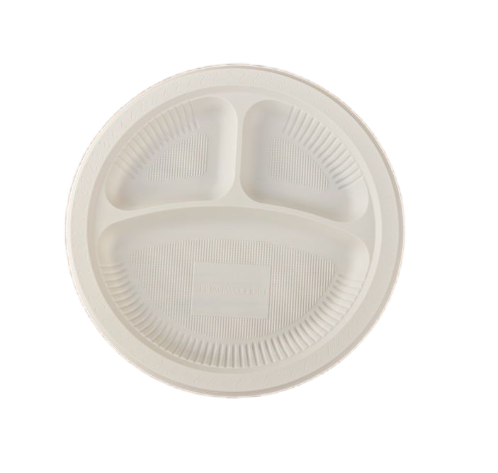 Biodegradable Eco Friendly Disposable Plates 10 Inch for Meal Party Camping Picnic