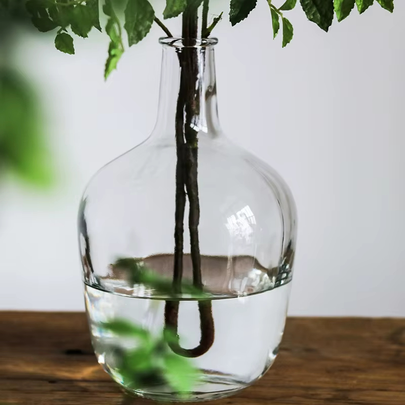 Big Belly Glass Vase Minimalist Transparent Glass Vase Home Decoration Floor Hydroponic Plant Glass Ornaments