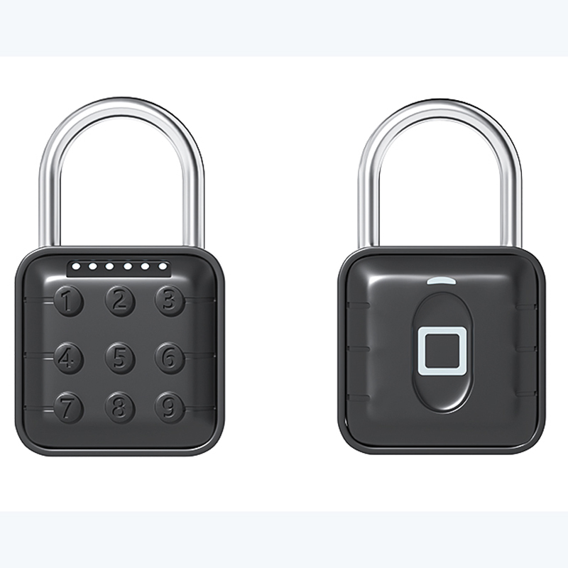 Fingperint Padlock Zinc Alloy Material U-Type Electronic Smart Password Padlock (SY12) Door Lock with Access Control System