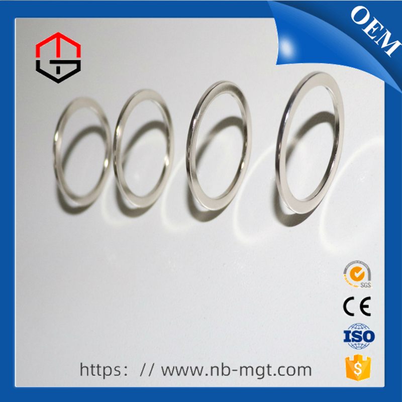NdFeB Sintered Rare Earth Permanent Neodymium Ring Magnet for Earphone & Headphone Accessories