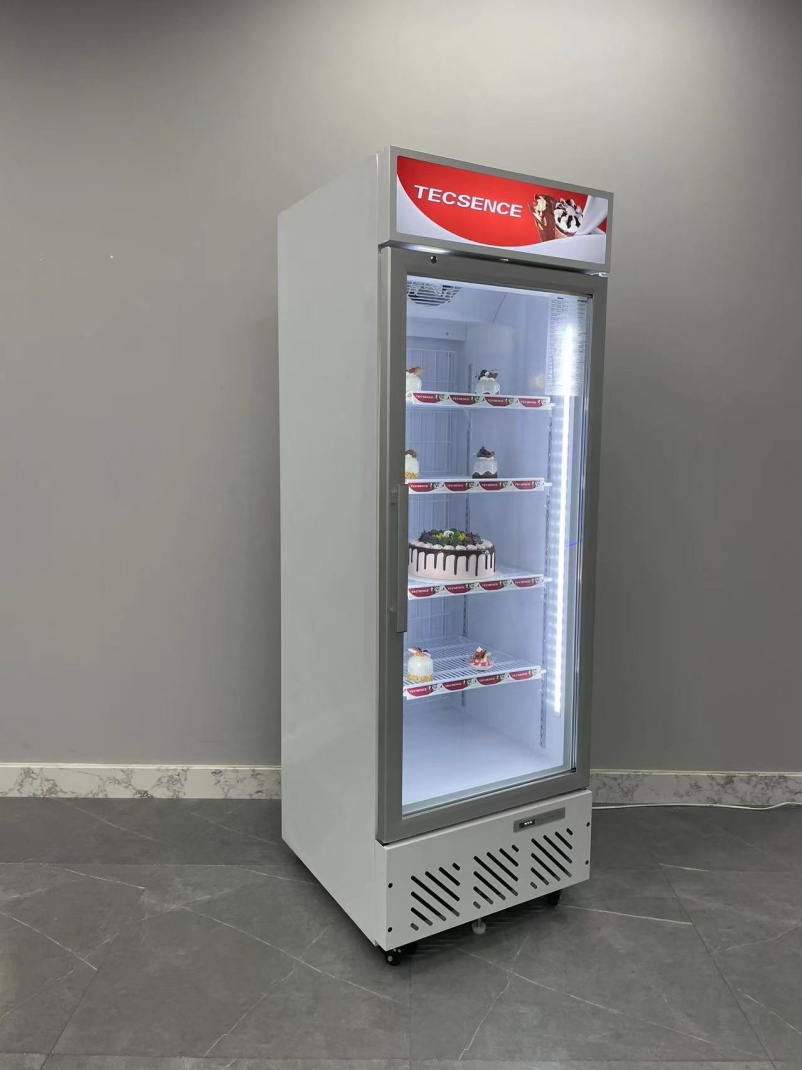 Single Glass Door Ice Cream Commercial Display Freezer
