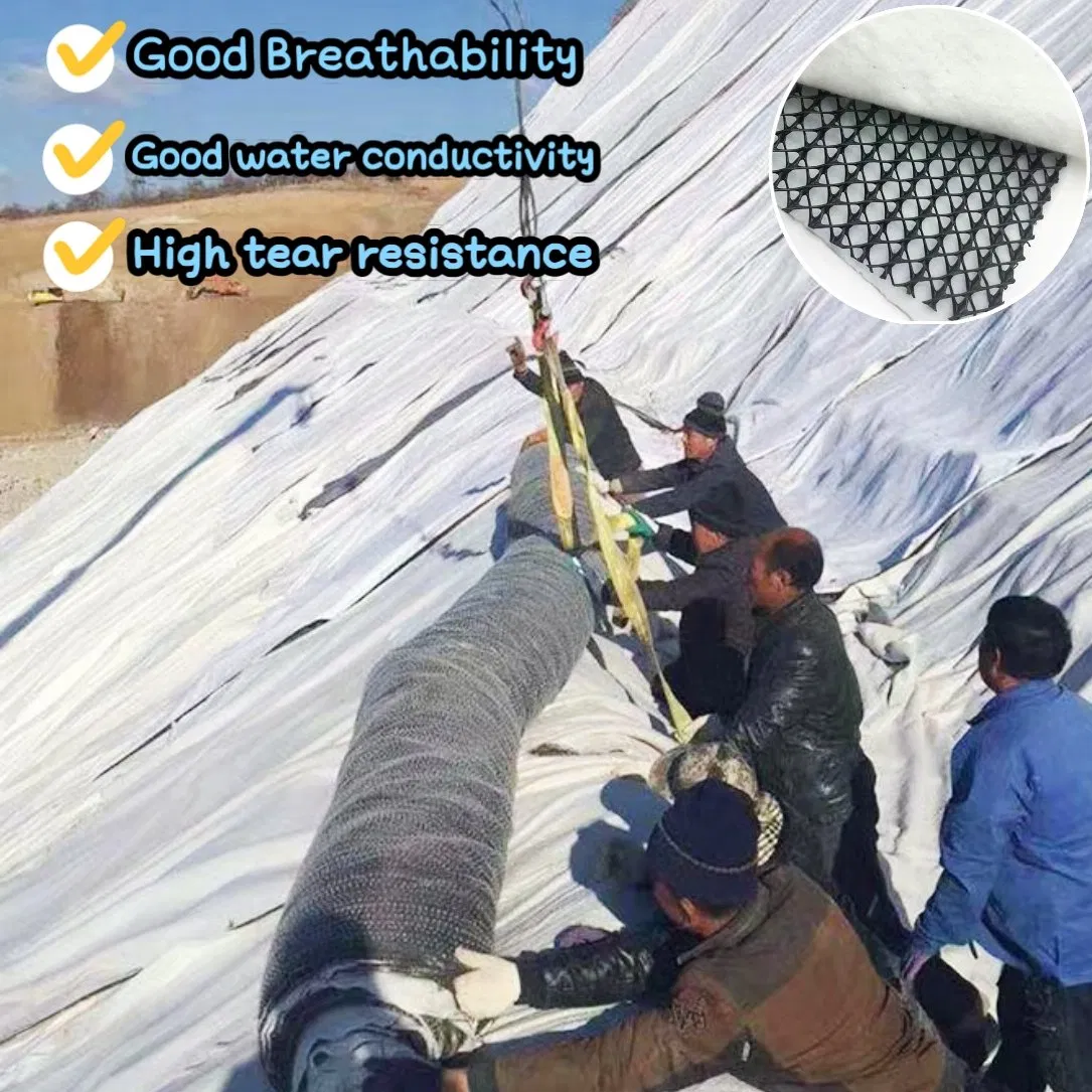 Versatile 3D Drainage Geonet for Landfill & Mining Restoration - Ensuring Sustainable Drainage