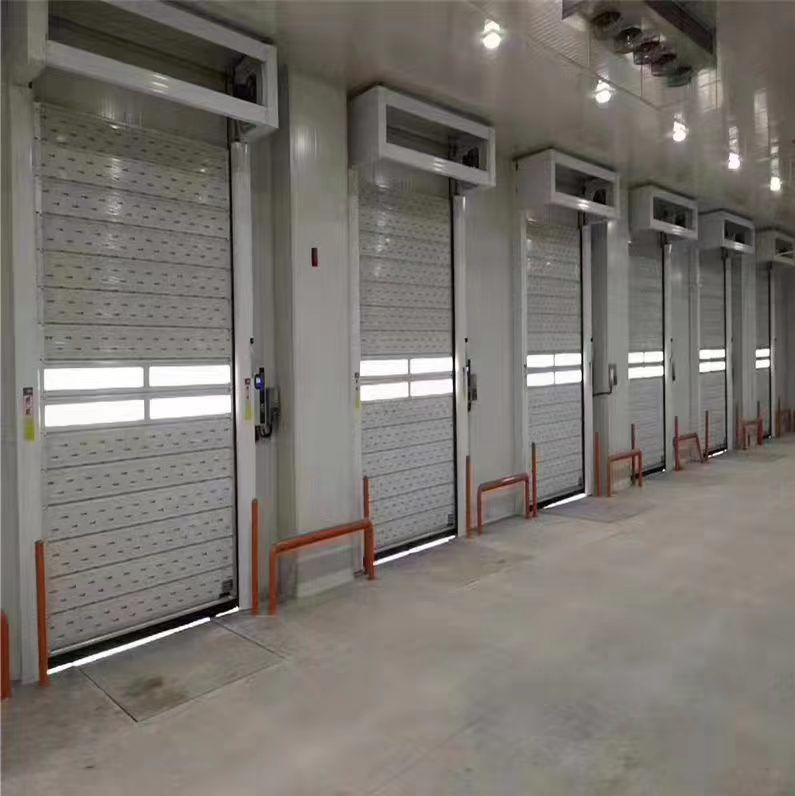 High Speed Security Garage Door Rapid Performance for Villa Garages