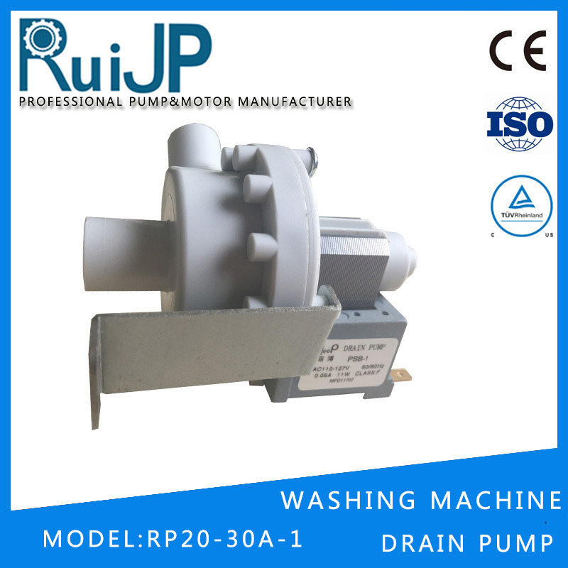 Ruijp Electric Chinese Factory Offering Manufacturer Washing Machine Food Purifier Pump