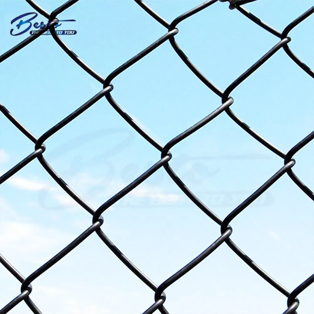 9 Gauge 5*5cm 6 FT Galvanized Diamond Mesh Wire Chain Link Fence