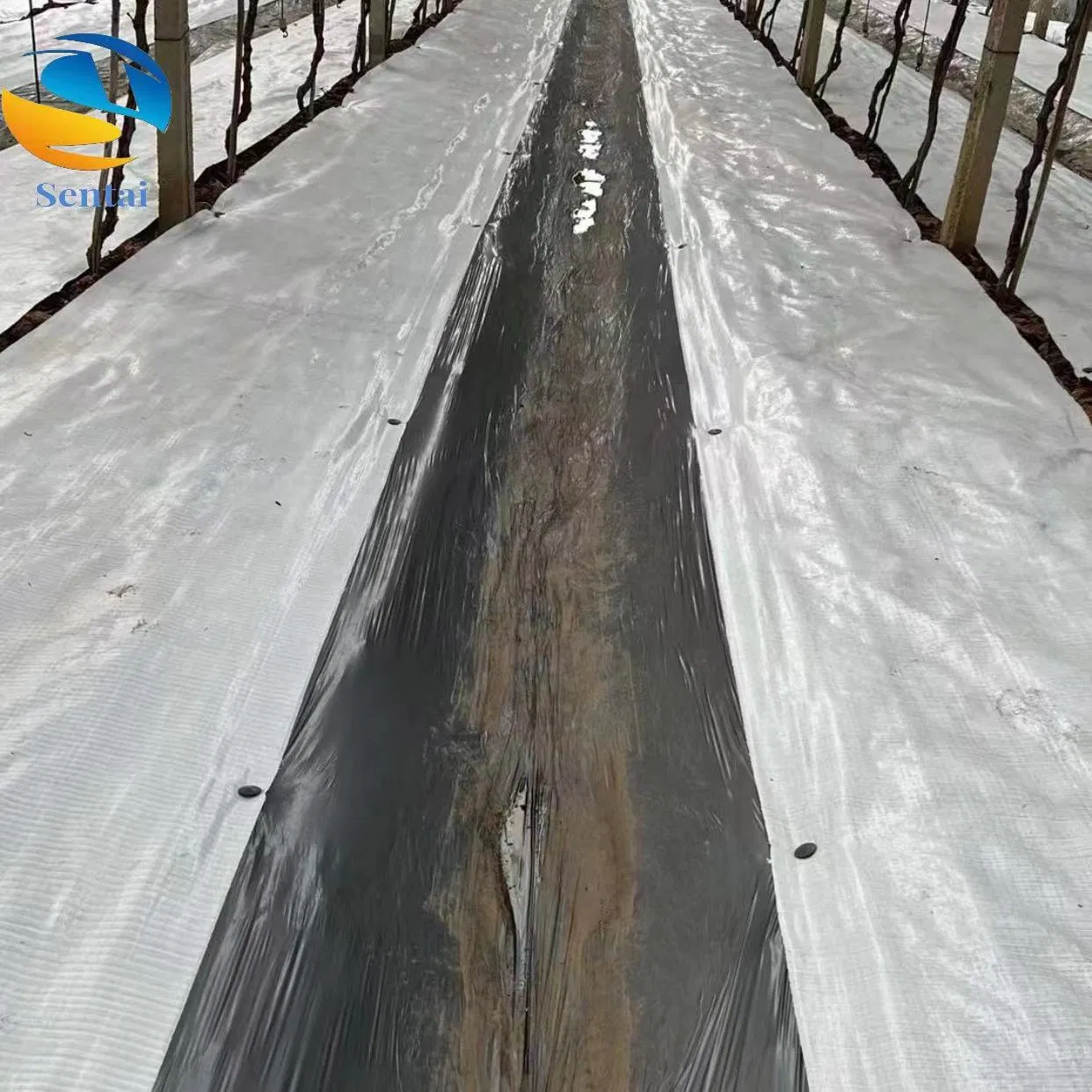 Exported to Europe and America, Grass Greenhouse, Flower Planting 90g, 100g, White Reflective Floor Cloth, White Anti Grass Cloth Cushion