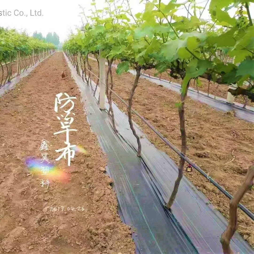 Water Permeable Weed Control Ground Cover