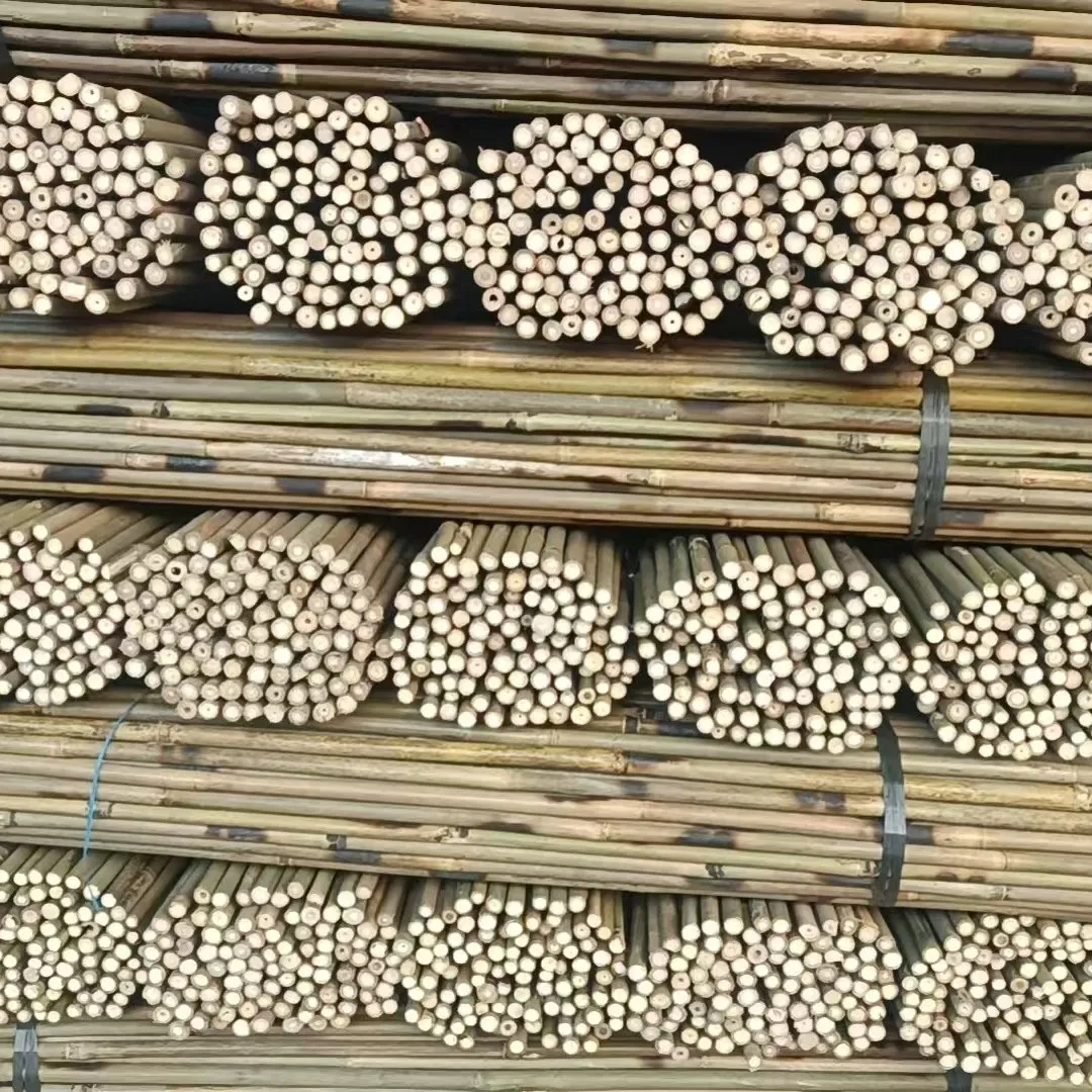 Premium Quality Bamboo Poles Canes, Ideal for Garden Trellis and Support Structures
