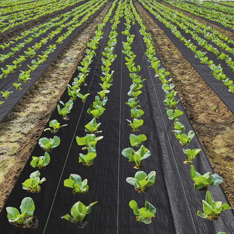 Factory Greenhouse PP Woven Weed Control Mat / Ground Cover Mesh Fabric / Agricultural Black Plastic Gardening Ground Cover