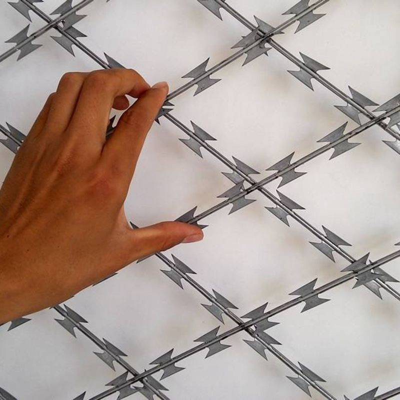 Hot Dipped Galvanized High Security Cbt-65 Razor Barbed Wire Concertina Wire for Wire Fencing Galvanized Steel Wire Razor Ribbon Barbed Wire Concertina Wire