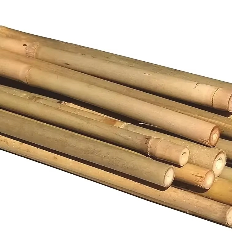 Natural Bamboo Poles for Plant Support Bamboo Canes Bamboo Poles Nursery Garden