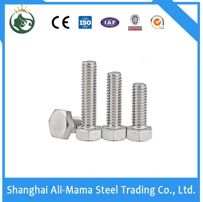Premium API 20 E Certified Hexagon Bolts and Stainless Nuts / A2/ A4-80/ High-Pressure Alloy Steel Hexagon Head Bolt Set with Nuts / 4.8 /8.8/10.8/12.9