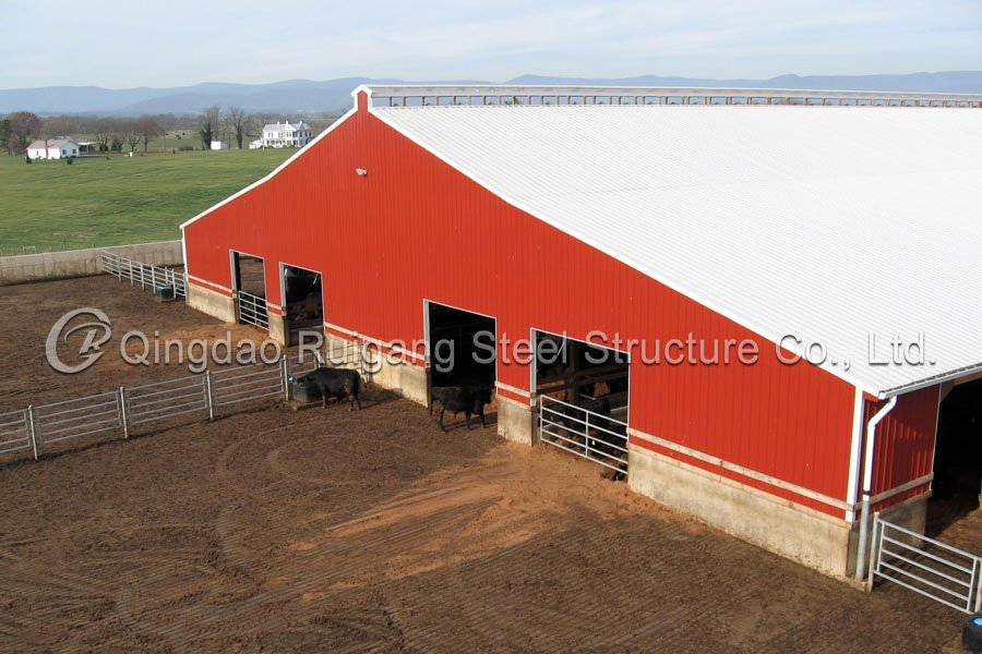 Light Steel Structure Farm Cowshed Low Cost Prefabricated Light Steel Piggery Shed Building