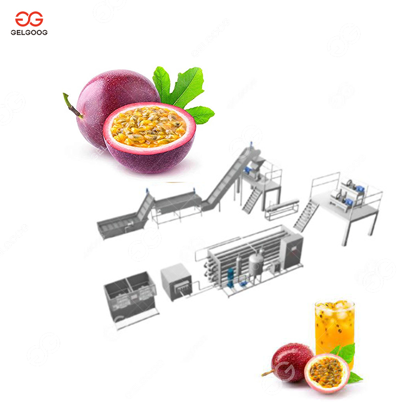Fruit Juice Extractor (GGJE-5)