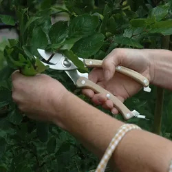 Wholesale Price Garden Pruning Tools Stainless Steel Wooden Handle Garden Pruning Pieces