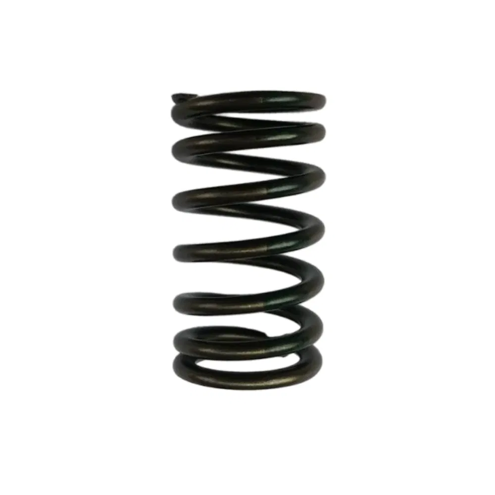 Sbi Valve Spring 211999 (OCZ) Truck Excavator Engine Spare Parts