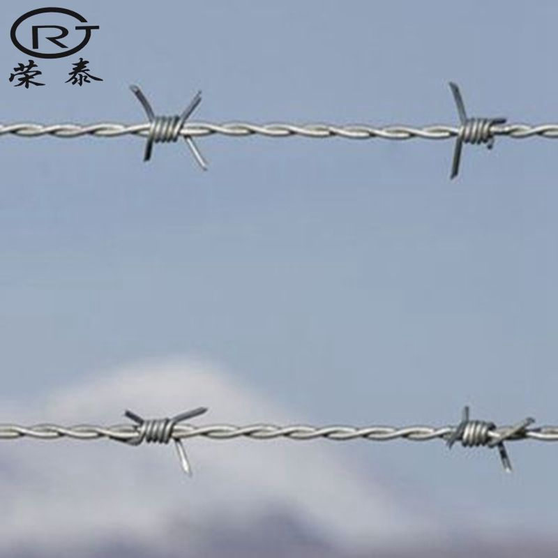 Wholesale Construction Decoration Wire Mesh Fencing Barbed Wire Fence Low Price