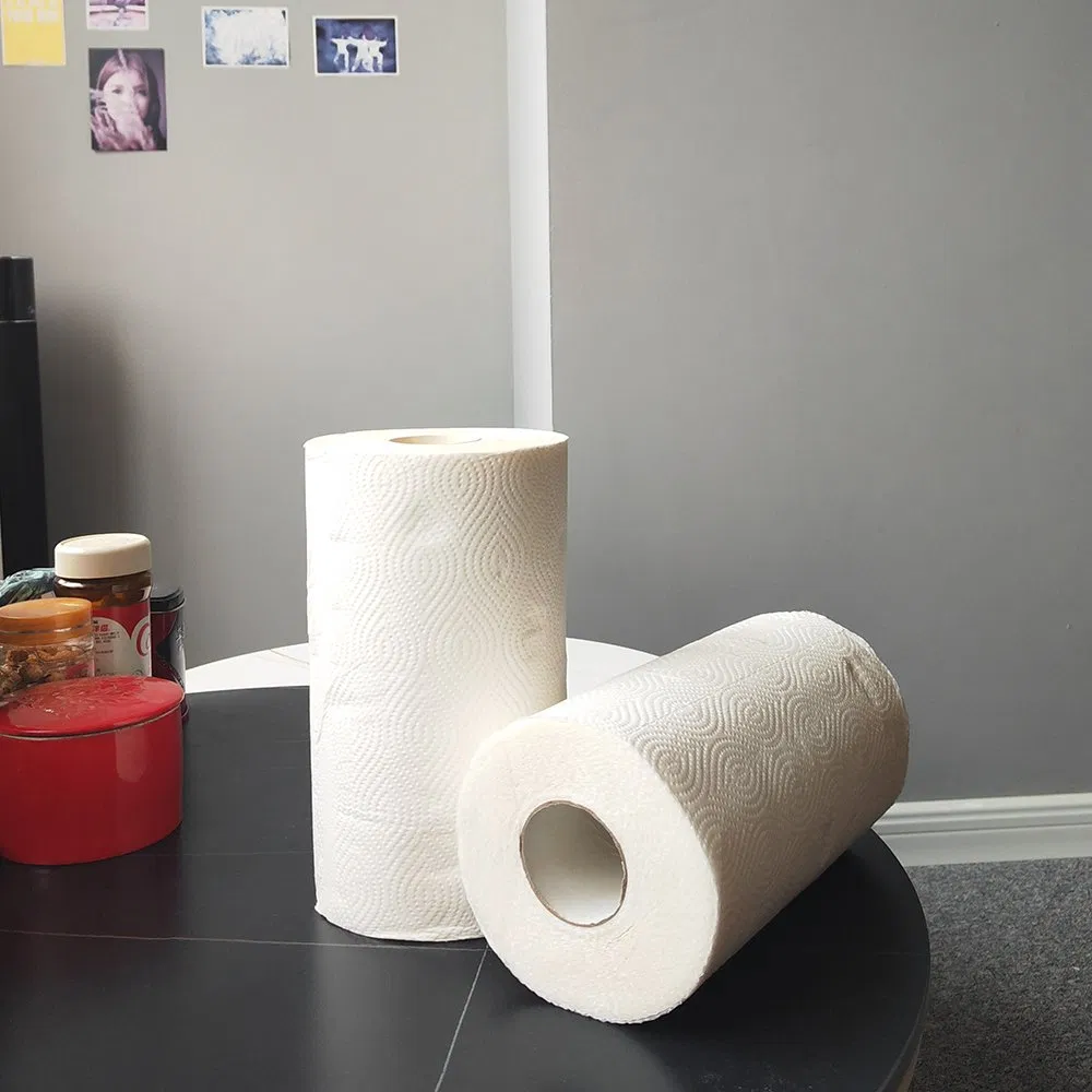 Customized 2 Ply Biodegradable Disposable Hoem Ktichen Towel Paper