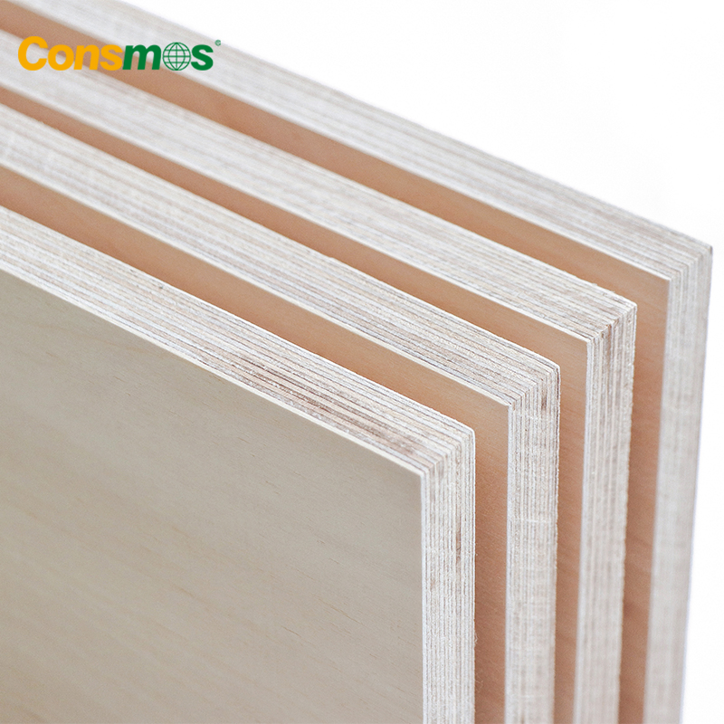 4X8 9mm 12mm 15mm 18mm B/B Full Birch Plywood Sheet