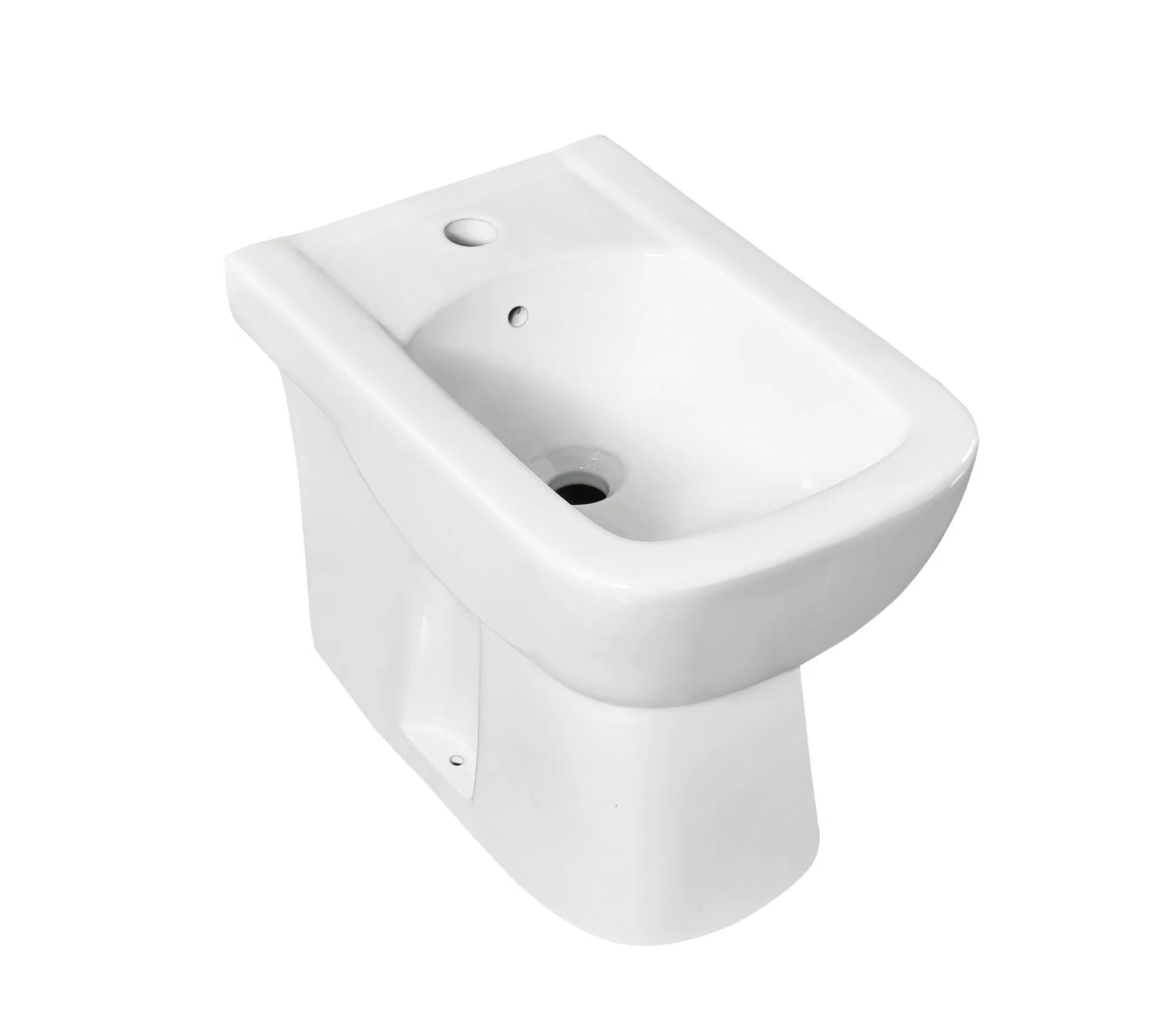 Premium Fluor Toilet and Bidet Combo for Stylish Restrooms