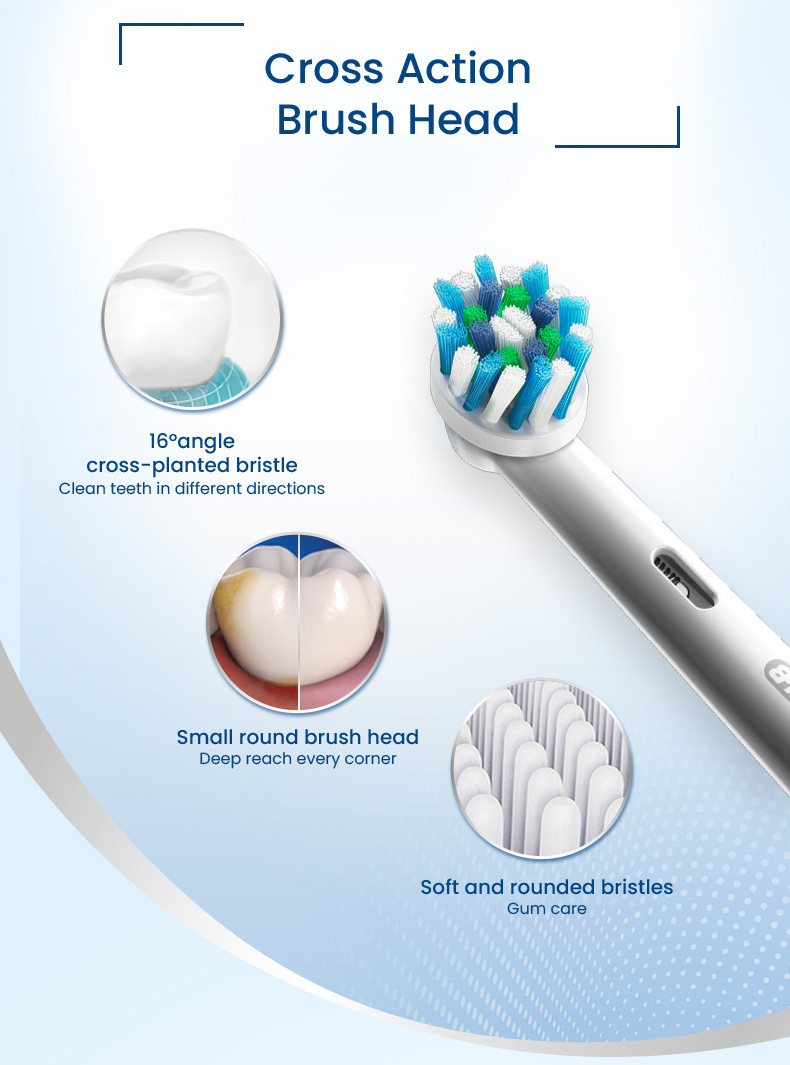 Oralbd100/D12 Soft Bristled Adult Induction Rechargeable Rotary Whitening Toothbrush