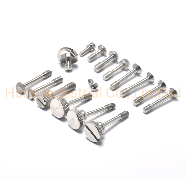 Satinless Steel 304 M5*10 Hexagon Socket Cap Head Captive Screw