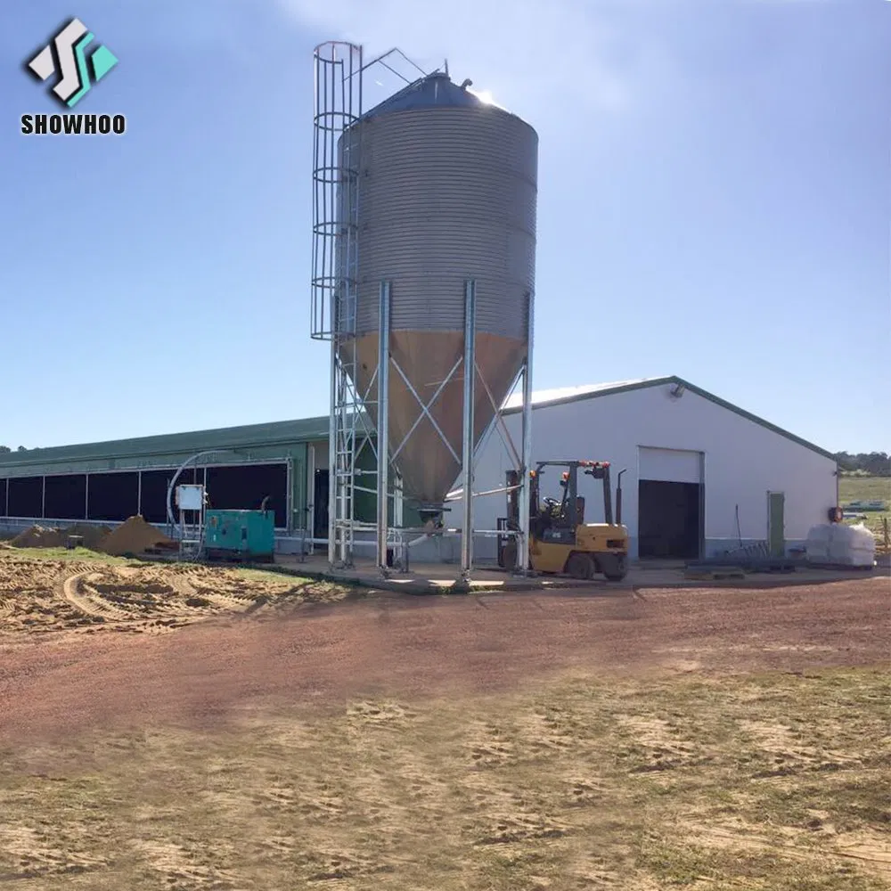 Prefabricated Steel Poultry Barns Farm Shed Design Industrial Chicken House