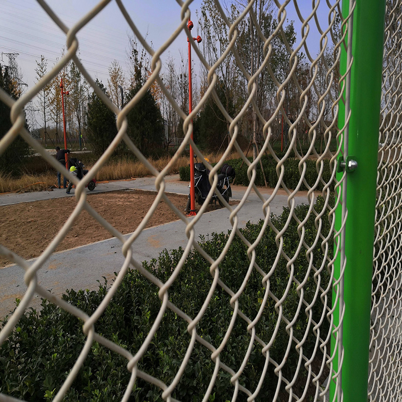 Green Color PVC Coated Chain Link Mesh (R-GHW) Galvanized Wire Mesh