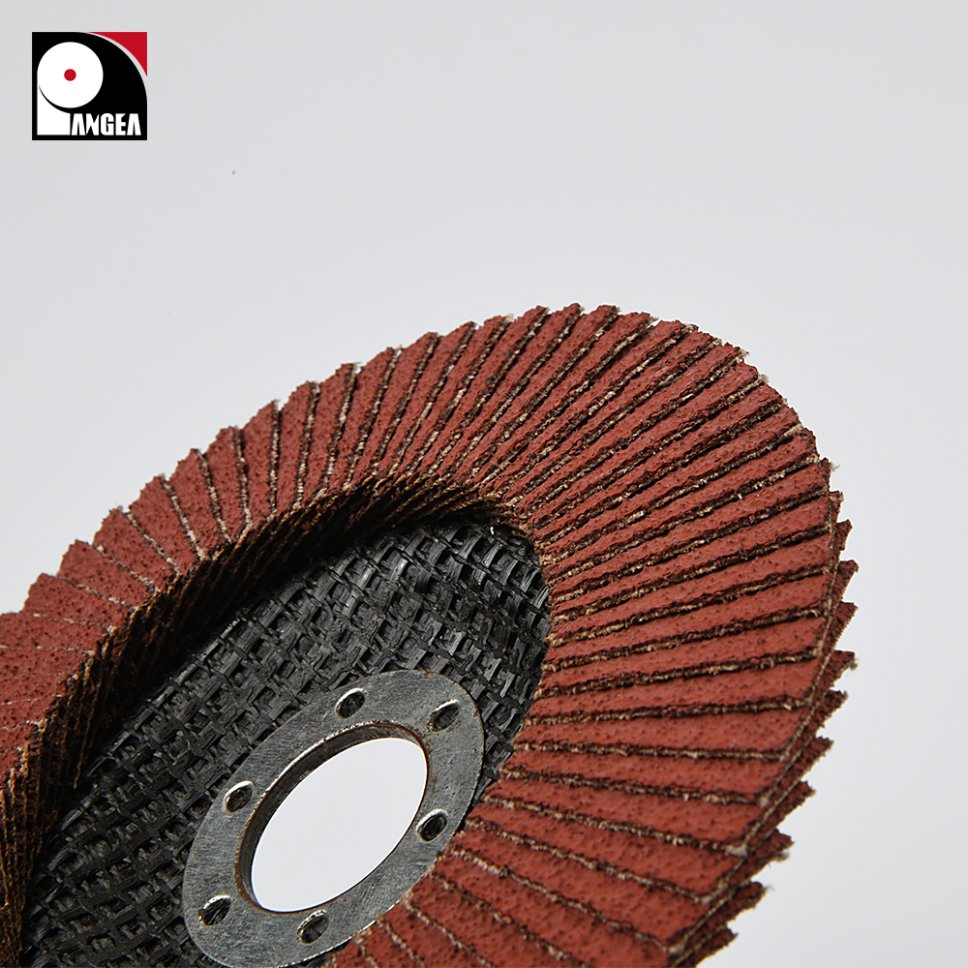 Vertical Flap Disc for Glass