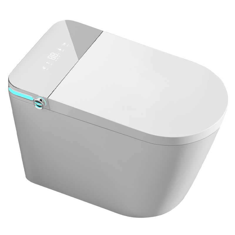 Simple and Popular Fashionable Ceramic Remote Control Intelligent Toilet
