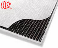 High Quality 6mm Composites Drainage Geonet