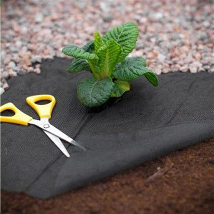 Black Agricultural Non-Woven Fabric Garden Farmland Weed Contro Anti UV