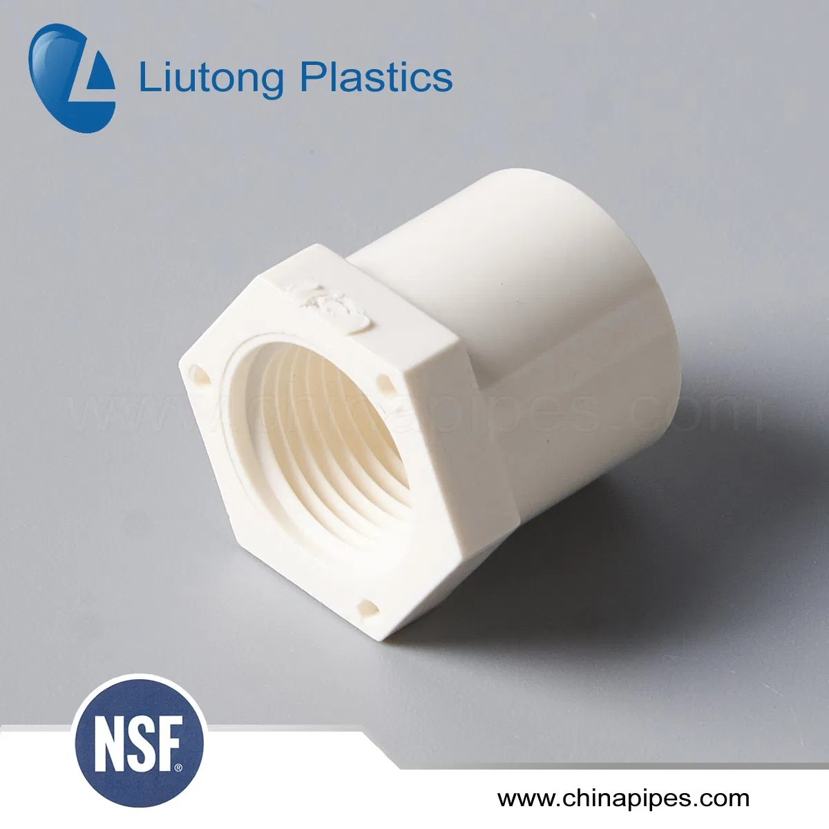 Pipe Fitting Pipe Accessories ASTM D2466 PVC UPVC 3/4"Female Threaded Bushing Reducer