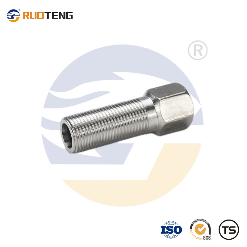 [Ruoteng] Construction Material High Quality Stainless Steel SS304 Customized Hex Head Male Thread Bushing for Water Gas Oil