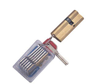 3D New Design Metal Door (RA-S010)