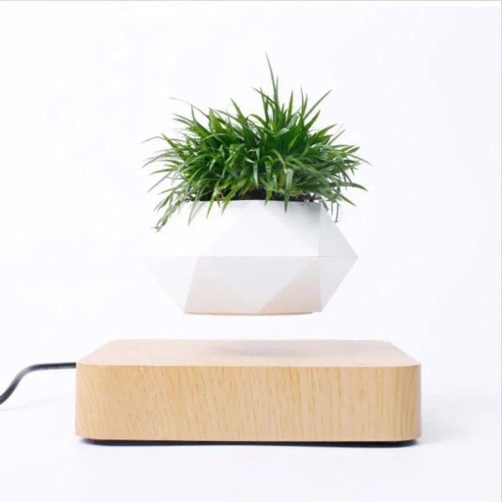 Magnetic Suspension Floating Pot Levitating Bonsai Plant Pot